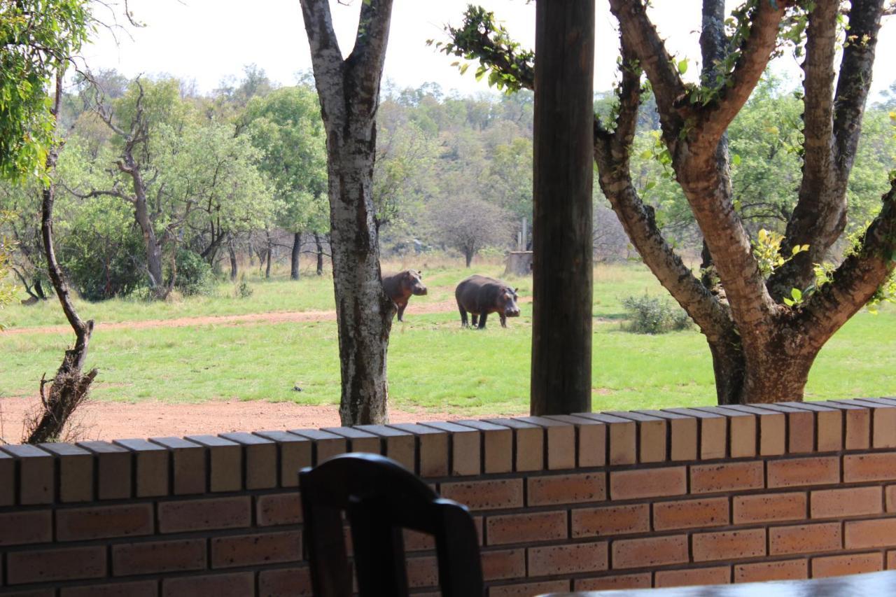 Wilgeboomsdrift Safaris Apartment โมดิมอเลอ ภายนอก รูปภาพ
